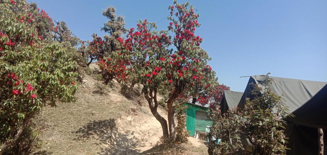 Chandarshila Hike Homestay Ukhimath Экстерьер фото